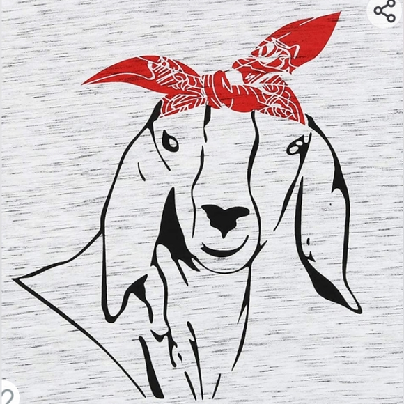 GOAT GRAPHIC T SHIRT, FUNNY SHIRT TO WEAR ANYWHERE NWOT. - Picture 2 of 6